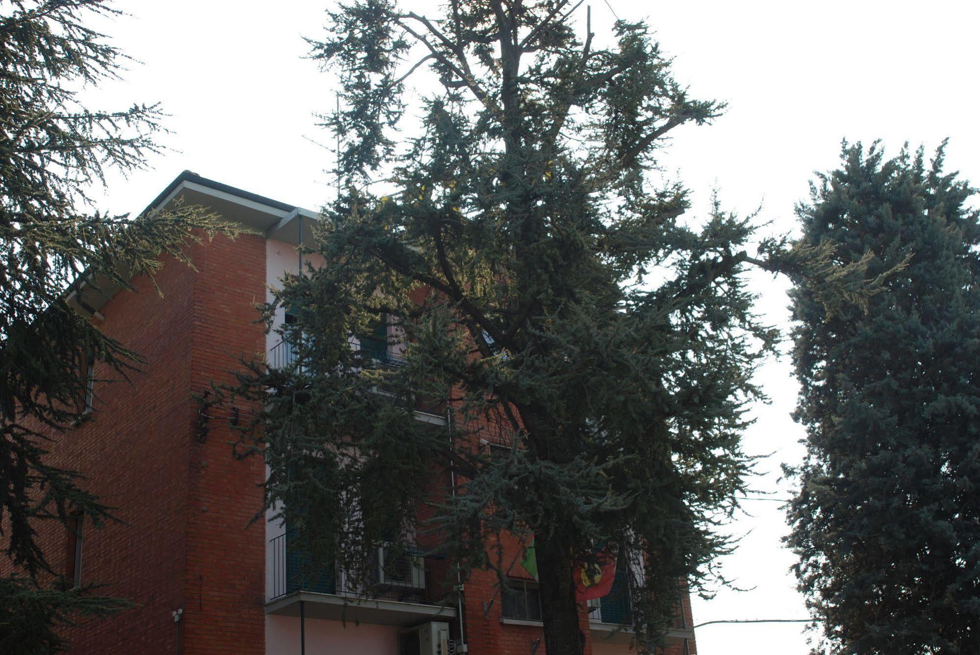 Hotel Tuscolano Bologna Esterno foto
